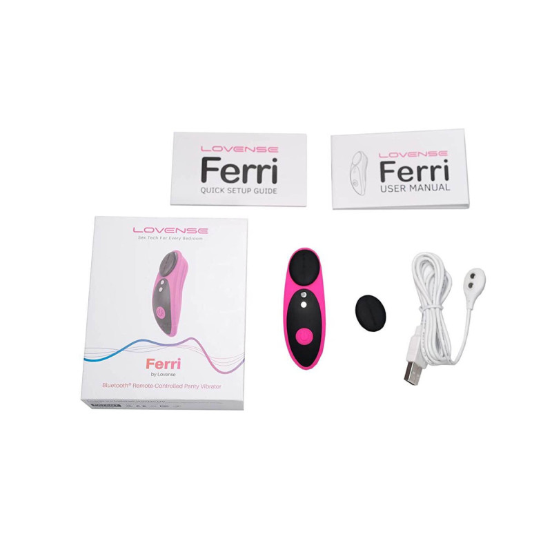 Смарт-вібратор в трусики Lovense Ferri